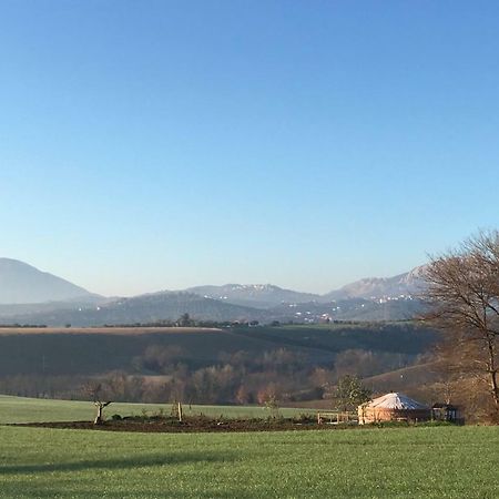 מלון Catignano Glamping Abruzzo - The Yurt מראה חיצוני תמונה