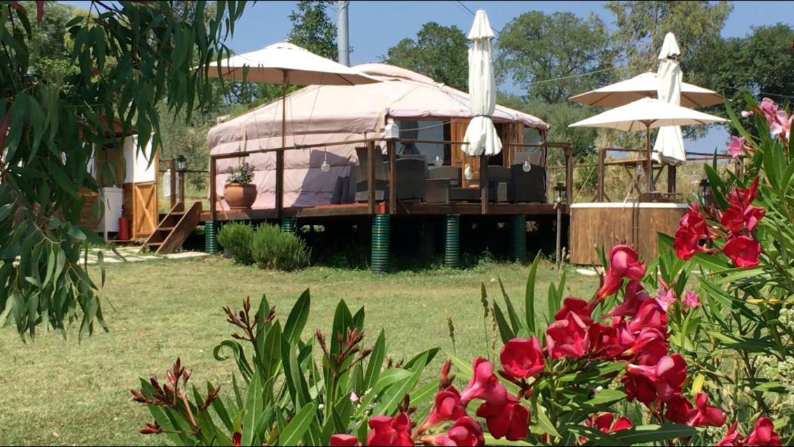 מלון Catignano Glamping Abruzzo - The Yurt מראה חיצוני תמונה