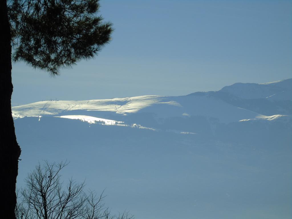 מלון Catignano Glamping Abruzzo - The Yurt מראה חיצוני תמונה